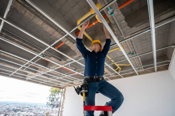 Best Local Plumber Services  in North East, MD